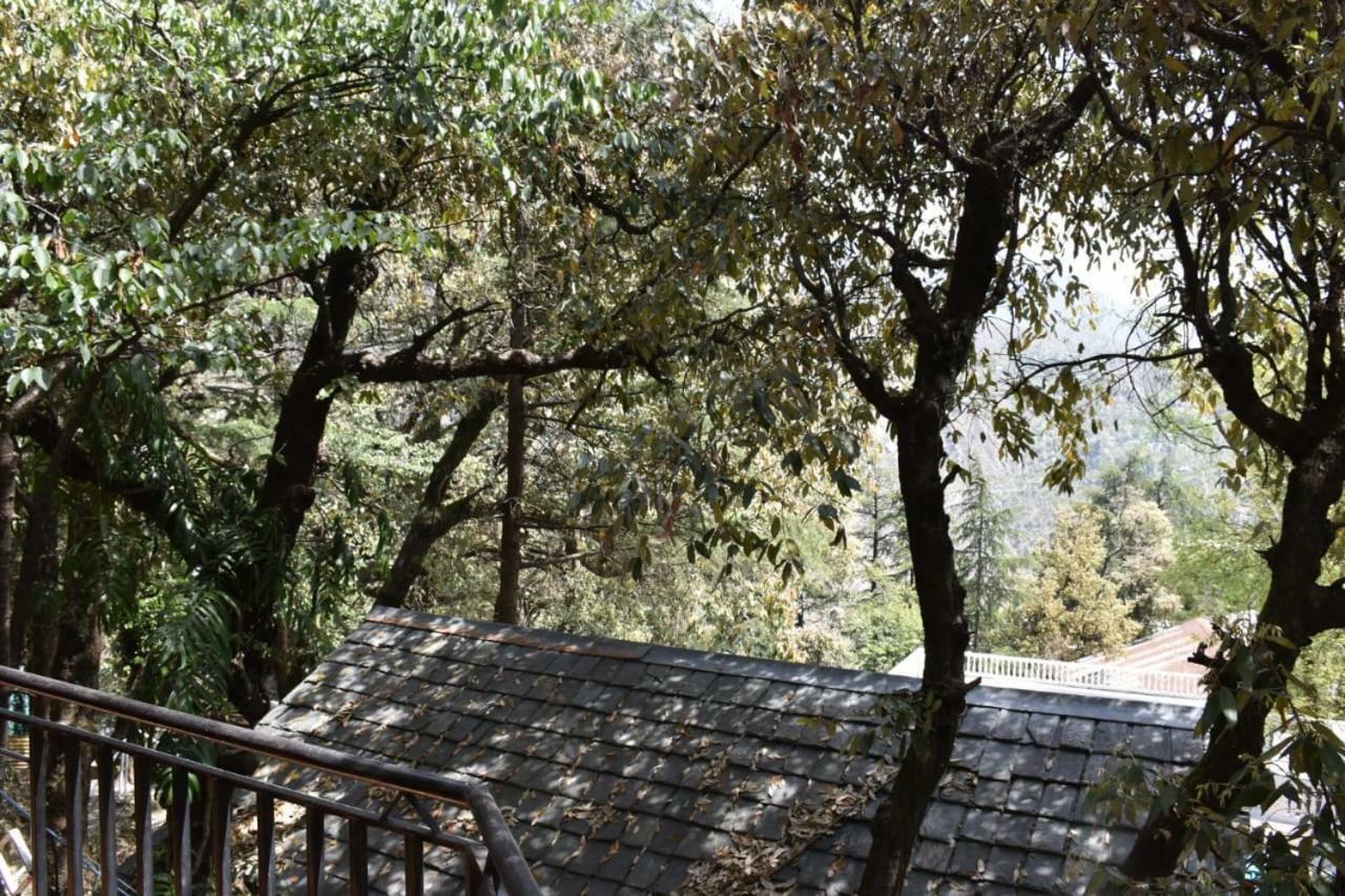 Misty Woods Hotel Dharamshala Exterior foto