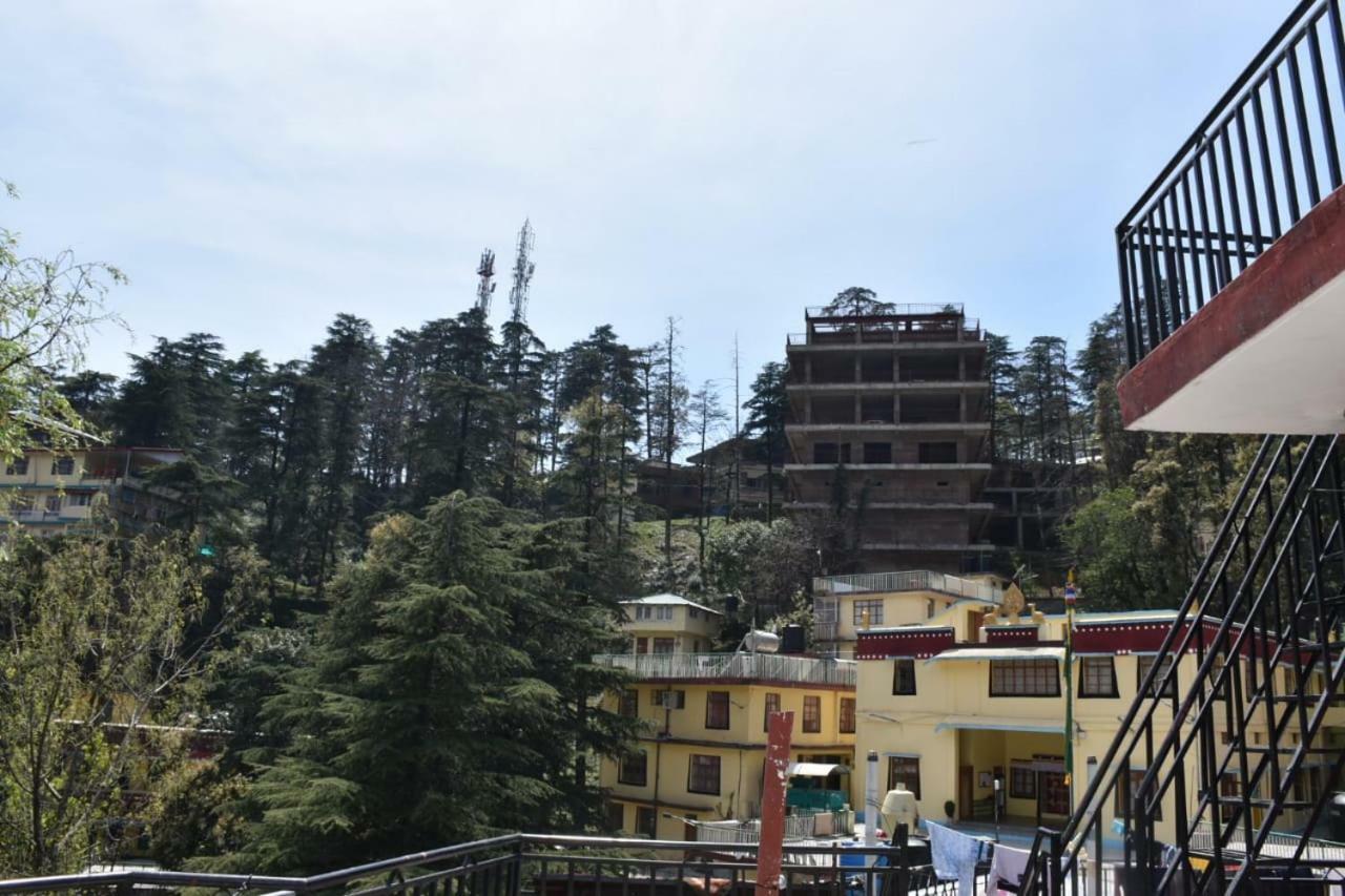 Misty Woods Hotel Dharamshala Exterior foto