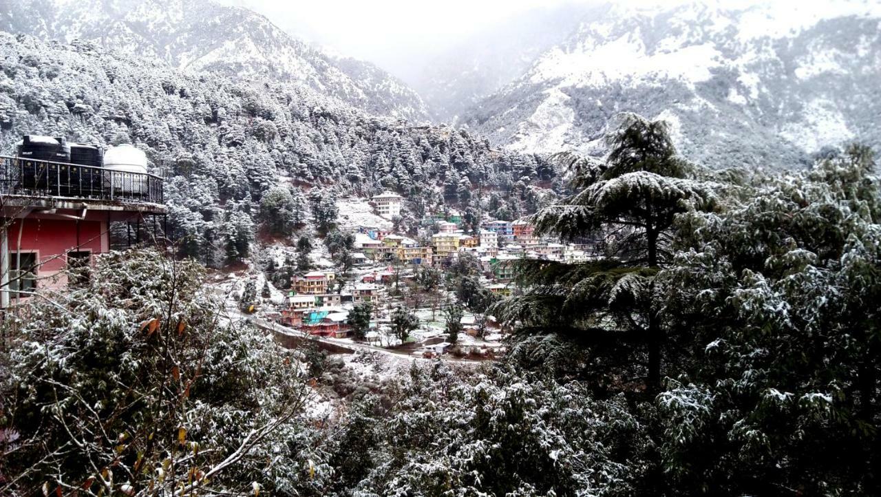 Misty Woods Hotel Dharamshala Exterior foto