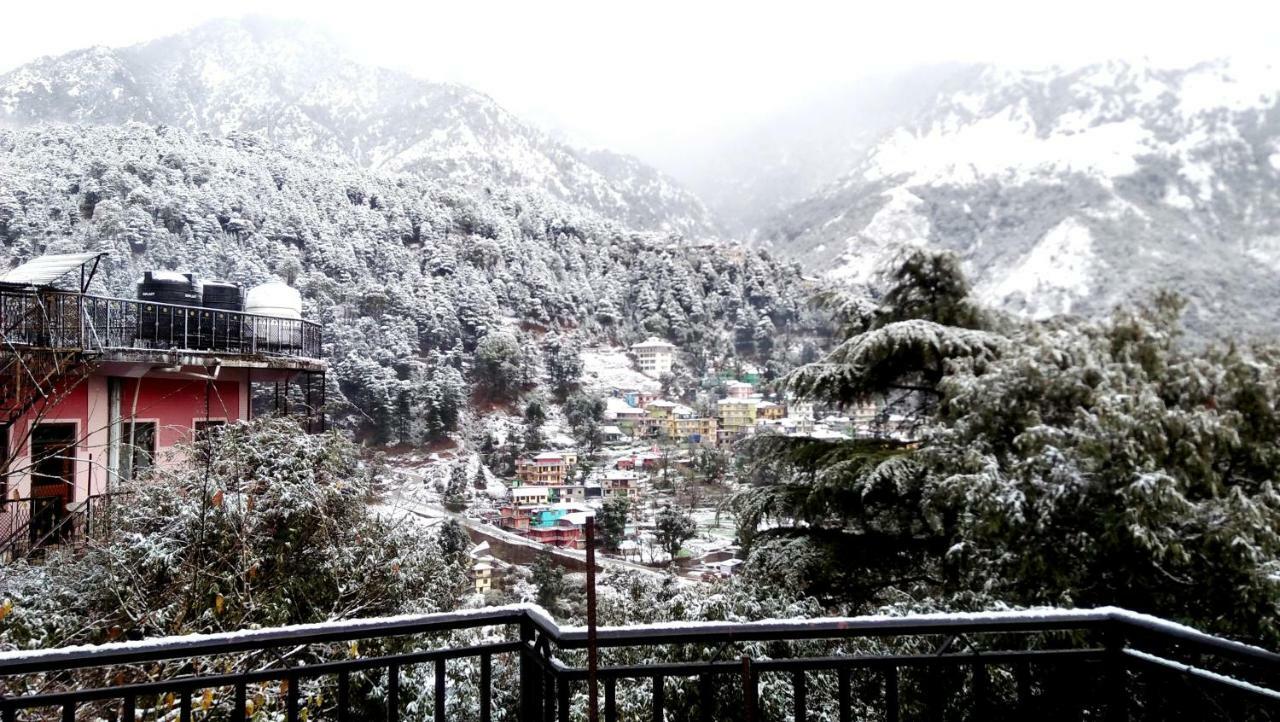 Misty Woods Hotel Dharamshala Exterior foto